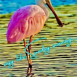 Happy Sunday💕💗💕